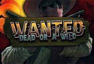 Wanted Dead Or A Wild